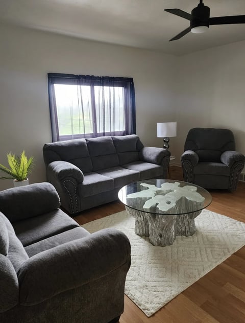 Modern living room with dark upholstered furniture, glass coffee table, large window with blue curtains, and ceiling fan